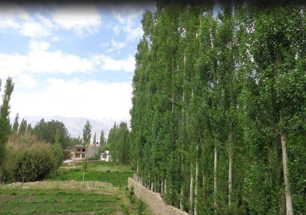 Hotel Ladakh Heaven Leh Zewnętrze zdjęcie