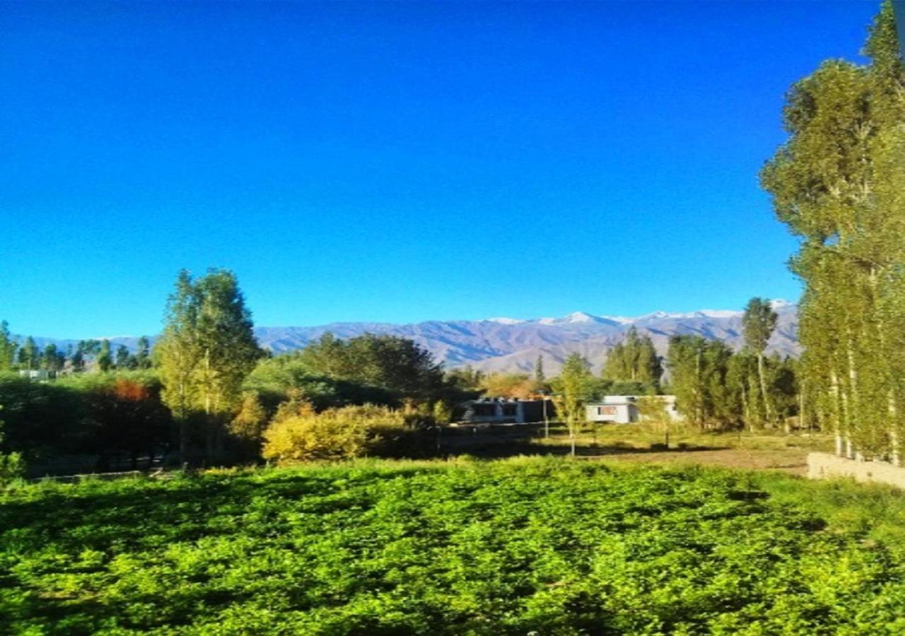 Hotel Ladakh Heaven Leh Zewnętrze zdjęcie